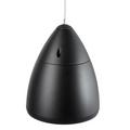 Подвесная акустика Radiotehnika RT Campana 4 Black